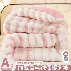 2025 New Rabbit Fur Quilt Core, Thickened for Winter Warmth, Milk Velvet Coral Fleece Spring and Autumn Bedding