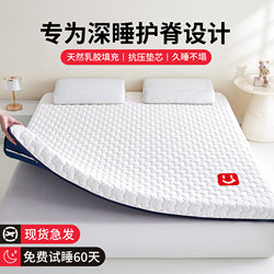 Latex Mattress Student Dormitory Tatami Single Non-Slip Home Rental Special Sponge Pad Soft Mattress Pad