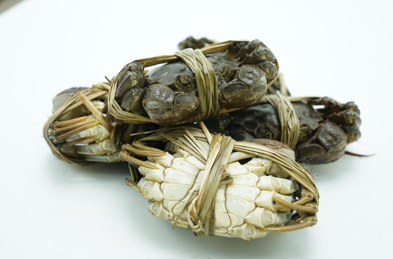 秋高气爽吃螃蟹,就吃膏黄满溢的大闸蟹(图2) 秋高气爽吃螃蟹,就吃膏黄满溢的大闸蟹(图2)