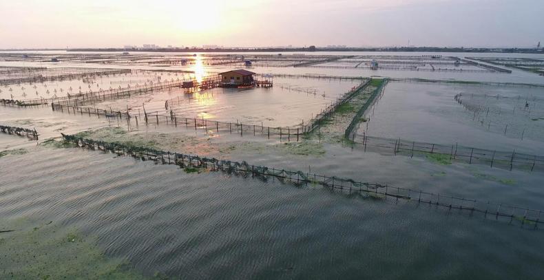 畅吃凉秋一季,来自阳澄湖的大闸蟹(图2) 畅吃凉秋一季,来自阳澄湖的大闸蟹(图2)