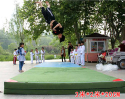 Acrobatic Sports Mat, Foldable Sponge Mat, Thickened High Jump Mat, Taekwondo Mat, Martial Arts Training, Dance Gymnastics Protective Mat