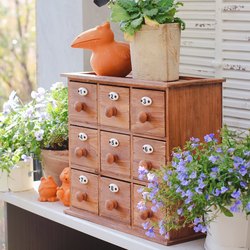 Solid Wood Storage Cabinet Nine-Compartment Solid Wood Zakka Japanese 178 Miscellaneous Goods Decorative Flower Room Desktop Drawer Cabinet Decoration