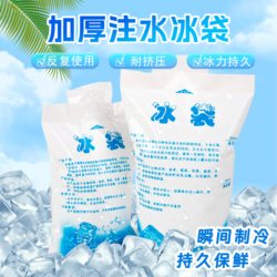 Disposable Refrigerated Fresh Food Self-Absorbing Water Injection Ice Bag for Takeaway Express Delivery Portable Cold Storage Cooling Bag