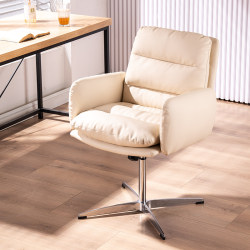 Nail Salon Chair, Customer Makeup Chair, Dressing Stool, Bedroom Computer Chair, Home Comfortable Long-Sitting Chair with Backrest, Adjustable Desk Chair