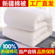 Xinjiang cotton quilt winter quilt thickened warm cotton long-staple cotton spring and autumn quilt core cotton wadding mattress bedding