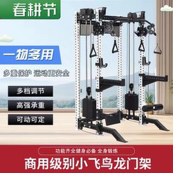 Rep Little Flying Bird Squat Frame Gym Professional Squat Rack Bench Press Rack Smith Machine