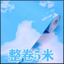 Ceiling Self-Adhesive Waterproof Wallpaper Kindergarten Wall Stickers Kidsren's Room Blue Sky and White Clouds Stereo Wallpaper Ceiling 3D Stickers