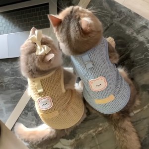 
Cat Clothes Summer Thin Anti-Shedding Vest Summer Ragdoll British Short Breathable Mesh Tractionable Pet Clothing