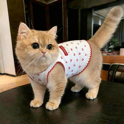 Cat Clothes, Kitten Anti-Shedding Summer Thin Vest, Gold Gradient Ragdoll Blue Cat and Dog Clothes, Cute and Breathable
