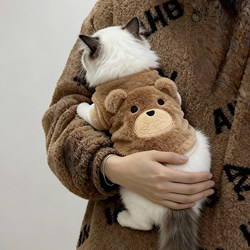 Cat Clothes, Cute Embroidered Bear Sweatshirt, Golden Gradient Ragdoll Puppy Clothes, Autumn and Winter Plush Warm Clothes