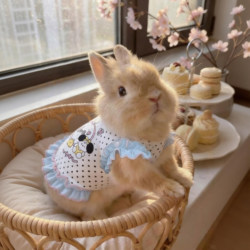 Rabbit Clothes Spring and Summer Style Anti-Shedding Vest for Dwarf Rabbits, Angora Rabbits, Lop-Eared Rabbits, Cats, and Dogs Cute Apparel