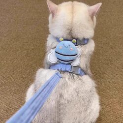 Cat traction rope to prevent escape from going out, special I-shaped rope for cat walking, anti-lost chest and back, Internet celebrity pet cat rope