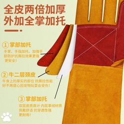 Hot selling pet anti-bite gloves to prevent cats and dogs from scratching and biting, dog training, dog training, thickened anti-tear, bathing, washing, cat anti-bite plus