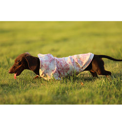 Rainbow Goddess Autumn and Winter Pet Dog Clothing Pink Printed Hooded Sweatshirt for Dachshund Corgi Small Dogs