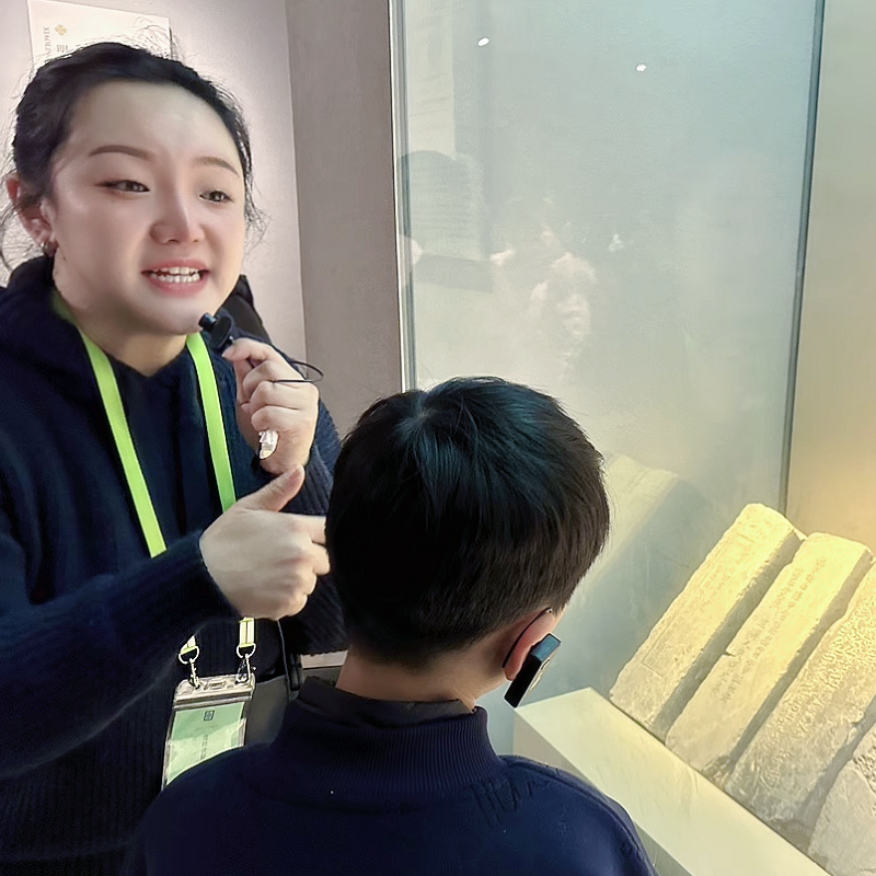 南京一日游|中山陵|牛首山|内秦淮河游船|人工讲解8人品质无购物