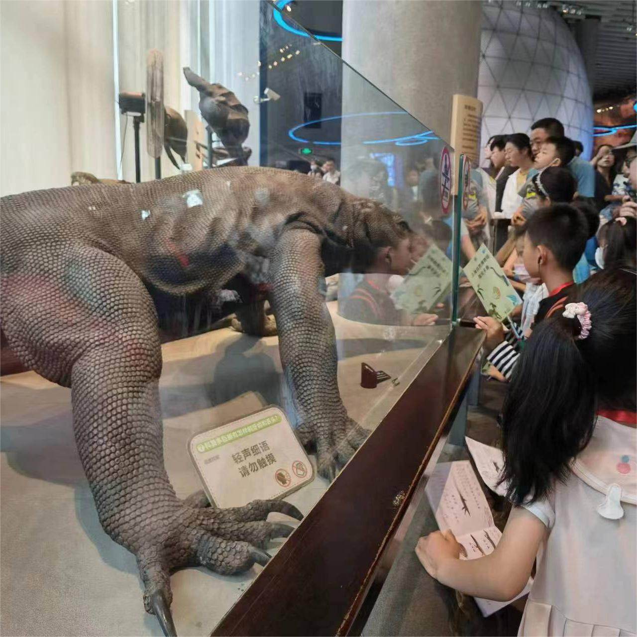 上海自然博物馆一日游|博物馆学专业老师讲解2小时精品课程