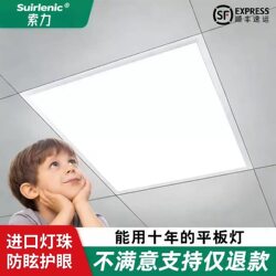Integrated Ceiling 600X600 Led Panel Light 60X60 Panel Light Gypsum Mineral Wool Board Office Led Project Light