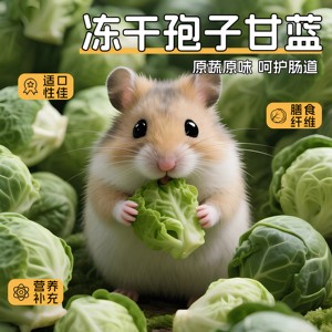 
Little hamster snacks, spores, cabbage, freeze-dried pet ready-to-eat vegetables, dried vegetables, golden bear special nutritious grain teething sticks