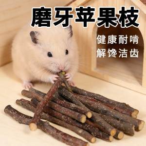 
Hamster, apple branch, teething stick, snacks, golden bear, edible grain, landscaping, relief from boredom, chewable small toy supplies