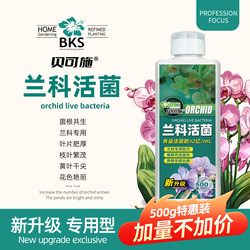 Orchid special fertilizer nutrient solution concentrated flowering potted yellow leaf household orchid live fungus plant liquid