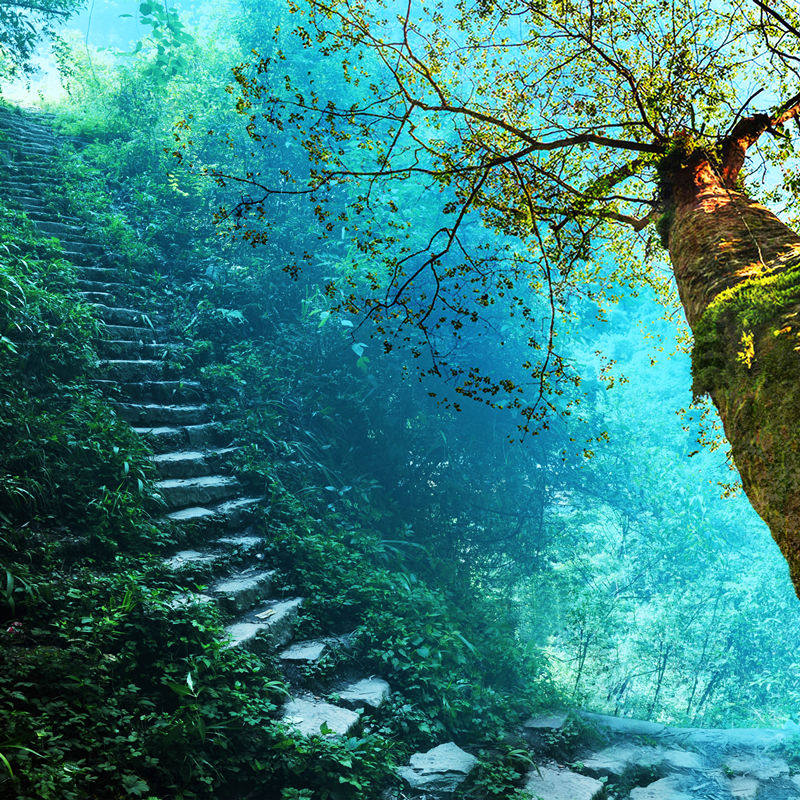 湖北神农架+恩施+宜昌私家小团 6天5晚+长江三峡大坝