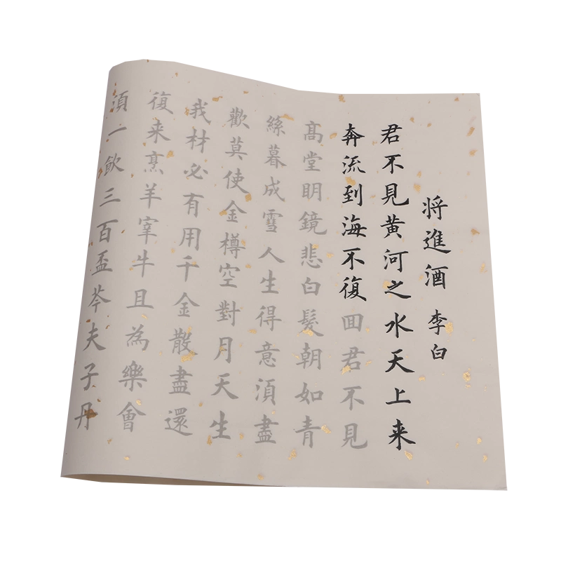 小野成鵞書帖 1帖 書家 書道 肉筆 手本 漢詩 李白 小野鵞堂の子 赵体小楷集唐诗百首李白将进酒王丙申编书法小楷范字临摹毛笔书法字帖硬