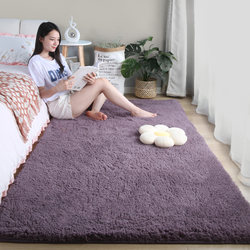 Winter Carpet, Thick Plush Bedside Rug for Bedroom, Princess Room Decoration, Can Be Used for Sitting and Sleeping, Home Use ins Style Floor Mat