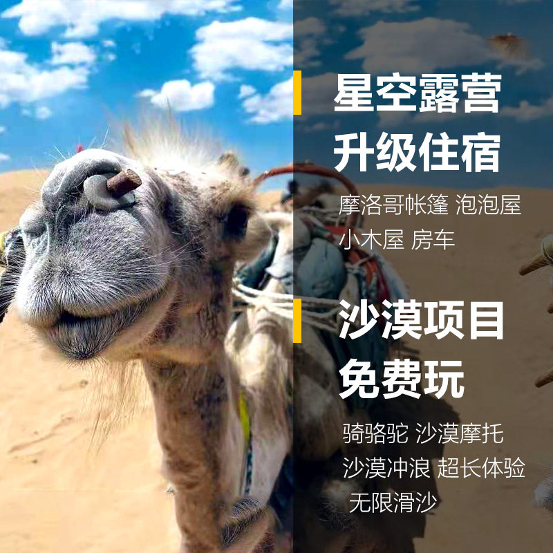五湖穿越●银川中卫两日游腾格里沙漠露营沙坡头66号公路国庆亲子