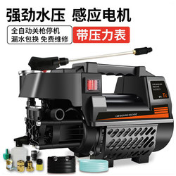 Tannide High-Pressure Car Washing Machine Household 220V Car Brushing Water Pump Fully Automatic Car Washing Artifact Car Washing Pump Cleaning Machine