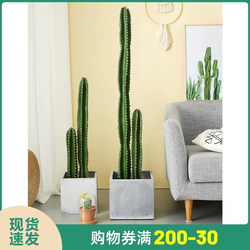 Artificial Cactus, Fake Plant, Indoor Greenery, Large Floor-Standing Decorative Potted Plant, Trendy Ornament