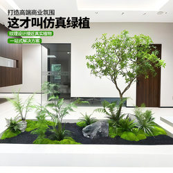 Simulated Green Plants, Classy Accessible Luxury Living Room, Bionic Indoor Plants, Potted Ornaments, Floor-Standing Decoration, Artificial Trees, Chicken Claw Trees