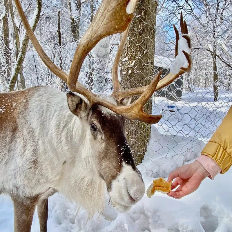 长白山北景区天池魔界漂流温泉雪岭延吉图们私家团包车3日游