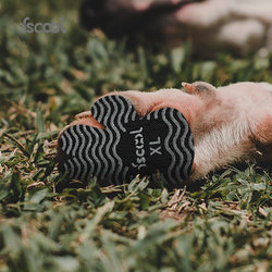 New Pet Shoes, Breathable Spring and Summer Hot-Selling Dog Socks, Factory Pet Supplies