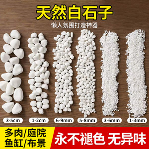 Little white stone courtyard landscaping fish tank pebble rough natural granules, flowers, multi -meat potted decorative shop stone
