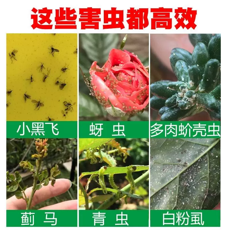 花卉杀虫剂植物土壤灭花盆小飞虫药月季花草除