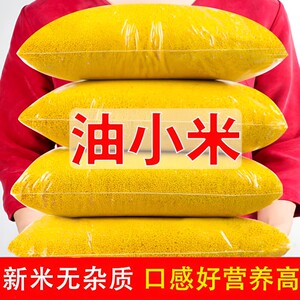 
Shaanxi rice fat yellow millet seasonal fresh yellow millet farm-produced millet grains full breakfast porridge millet porridge