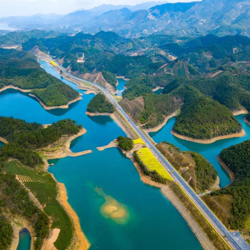 杭州千岛湖纯玩一日游黄山旅游周边线 黄山出发 含门票游船大巴车