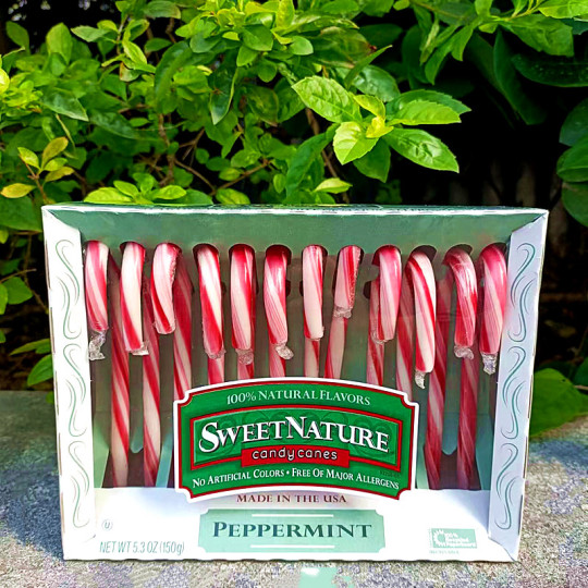 アメリカ輸入 チェリー風味キャンディケーン 12個入り