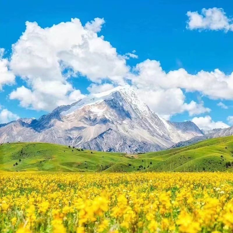 2-8人小团稻城亚丁色达四姑娘山 格聂之眼7天6晚纯玩跟团游