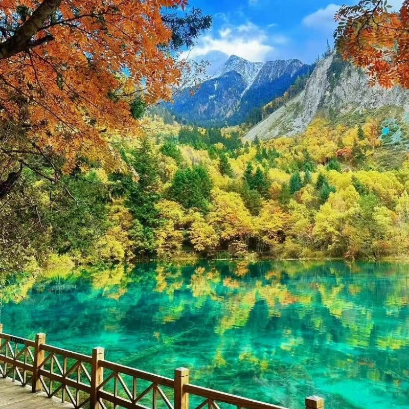 2-8人保姆车小团三星堆 熊猫基地 九寨沟纯玩二日游2天一晚跟团游