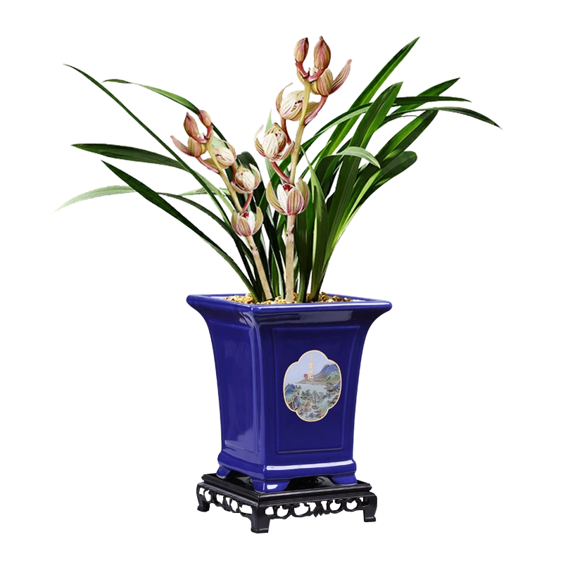 宜興 紫砂花盆栽 多肉植物盆 景盆 菖蒲盆 紫砂花盆陶瓷多肉花盆菖蒲个性创意组合摆件小盆景文竹古典盆特价