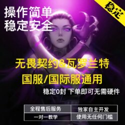 Valorant Co-Streamer's Same Type of Auxiliary Tool for Pc, Stable for Valorant Main Account on Chinese Server, with a Premium Card