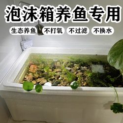Foam Box for Fish Farming, Special for Lazy People to Raise Fish, Shrimp, Vegetables, Ornamental Fish, Turtle Tank, Extra-Large Insulated Box for Home Use