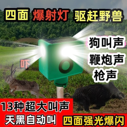 Solar-Powered Animal Deterrent with Dog Barking Alarm for Corn Fields and Farmland, Animal-Sensing Light