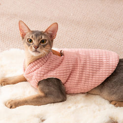 Autumn and winter cat clothes, thickened and warm, simple corduroy cotton clothes, German and American short cat winter pet clothes