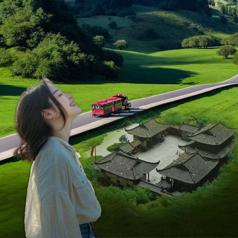 九点出发|重庆武隆一日游纯玩小团跟团游包车旅游天坑地缝仙女山