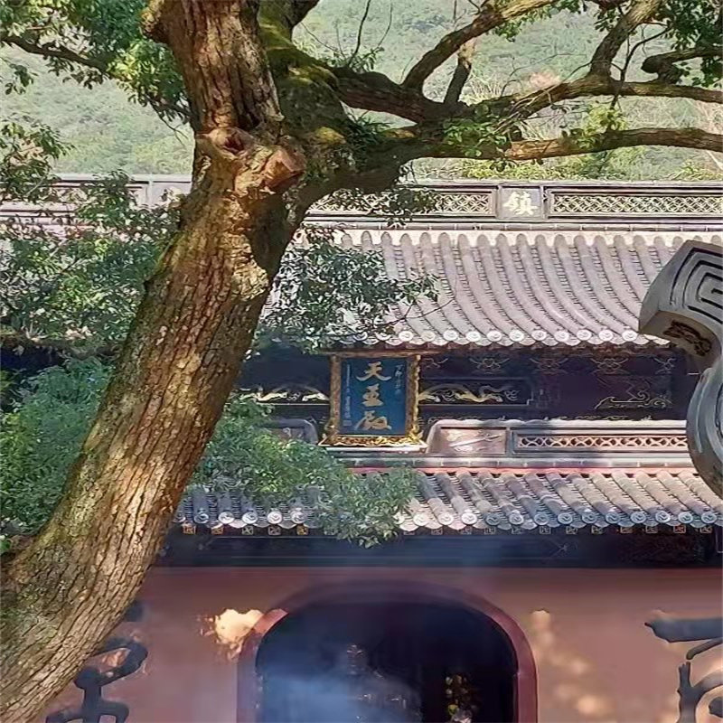 多地出发宁波+普陀山3日游 1晚住山上 海天佛国许愿还愿 含高铁票