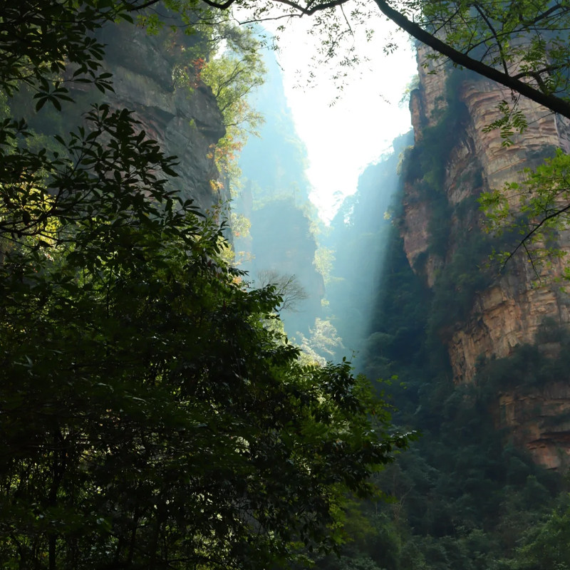 观日出一价全含10人小团长沙张家界旅游4天3晚天门山森林公园凤凰