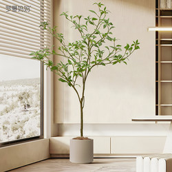 Roman's Mother, Ma Zui Mu, Is a Realistic Artificial Green Plant, a Bionic Fake Tree for Indoor Display, a Light Luxury Floor-Standing Fake Tree Decorative Piece