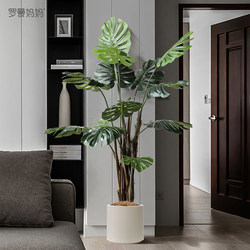 Roman's Mother's Modern Minimalist Decoration with Artificial Green Plants, Monstera Potted Plants, Indoor Living Room Floor-Standing Bonsai Next to the Sofa